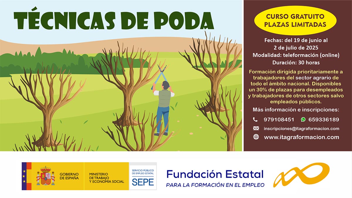 Técnicas de poda